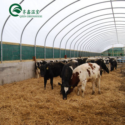 Automatic Controlling Box Aquaponics Film Greenhouse for Animals Growing Tent Customizable Size
