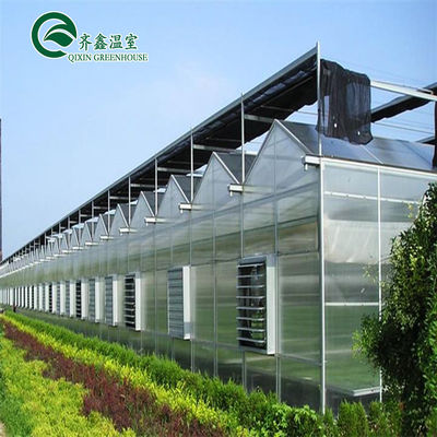 Venlo Multi-Span Greenhouse Enhance Agriculture with Inside and Outside Shading System