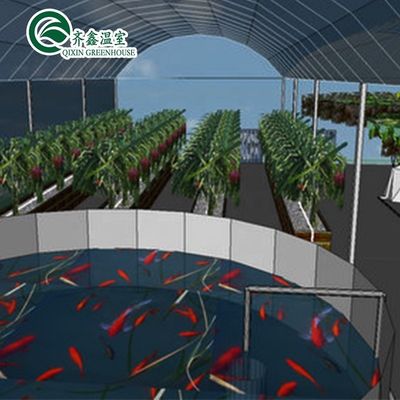 Single Layer Tower Garden for Aduaponics Affordable Agricultural Greenhouse