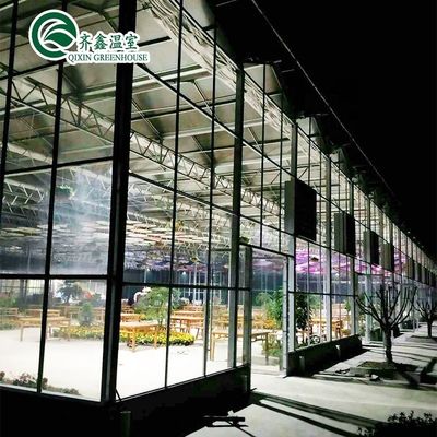Galvanized Steel Structure Venlo Glass Greenhouse for Growing Vegetable Fruits Flowers