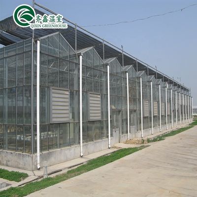 Venlo Galvanized Steel Pipe Greenhouse with Tower Garden and Optimal Shading System