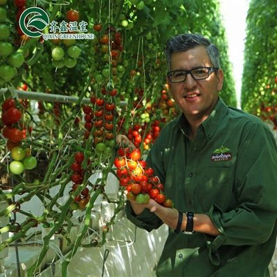 Large Hydroponics Pump for Maximum Growth of Vegetables Fruits and Flowers