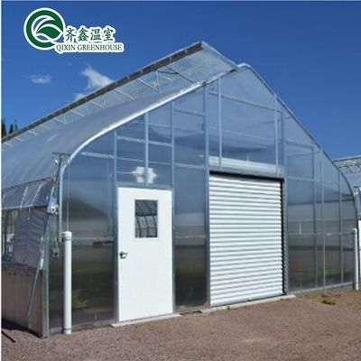 Customizable Size High Tunnel Agricultural Single-span Plastic Film Greenhouse for Vrgetable