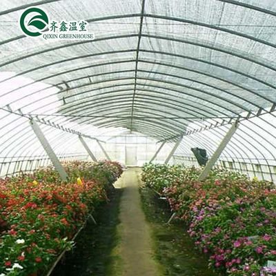 Customizable Size High Tunnel Agricultural Single-span Plastic Film Greenhouse for Vrgetable