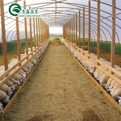 Automatic Controlling Box Aquaponics Film Greenhouse for Animals Growing Tent Customizable Size