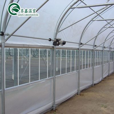 Customizable Size High Tunnel Agricultural Single-span Plastic Film Greenhouse for Vrgetable