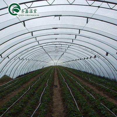 Customizable Size High Tunnel Agricultural Single-span Plastic Film Greenhouse for Vrgetable