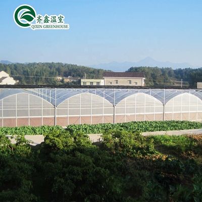 Transparent Beach House Tent Greenhouse with Hot Galvanizing Aluminum Steel Structure