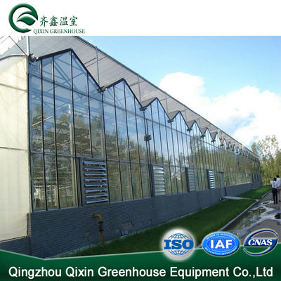 Vegetable Fruits Flowers Tomatoes Hot Galvanizing Aluminum Steel Structure Greenhouse