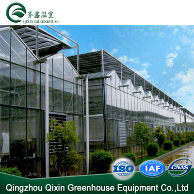 Vegetable Fruits Flowers Tomatoes Hot Galvanizing Aluminum Steel Structure Greenhouse