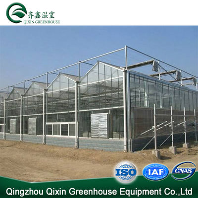 Vegetable Fruits Flowers Tomatoes Hot Galvanizing Aluminum Steel Structure Greenhouse