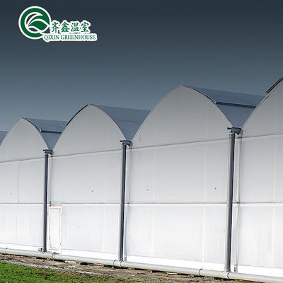 Automatic Controlling Box Aquaponics Film Greenhouse for Animals Growing Tent Customizable Size