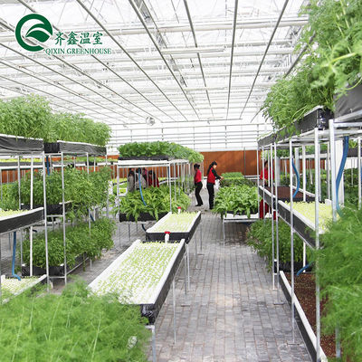 Large Hydroponic Galvanized Steel Pipe For Film Greenhouses in Double or Single Layer