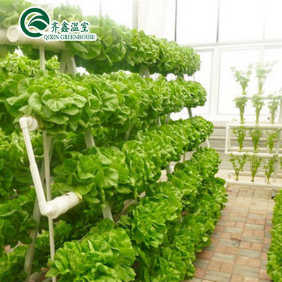 Large Hydroponic Galvanized Steel Pipe For Film Greenhouses in Double or Single Layer