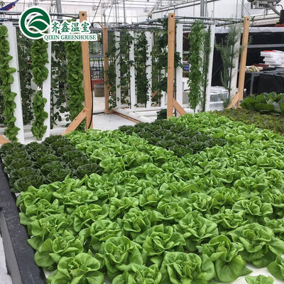 Large Hydroponic Galvanized Steel Pipe For Film Greenhouses in Double or Single Layer