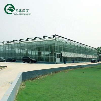 Customized Glass-Covered Vegetable Greenhouse for Restaurant Growth