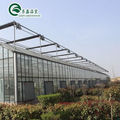 Customized Glass-Covered Vegetable Greenhouse for Restaurant Growth
