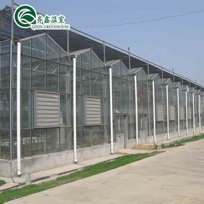 Customized Glass-Covered Vegetable Greenhouse for Restaurant Growth