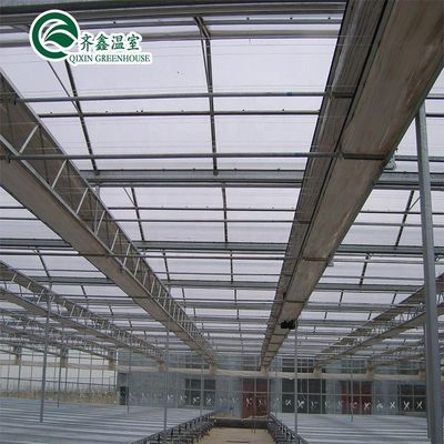 Customized Glass-Covered Vegetable Greenhouse for Restaurant Growth
