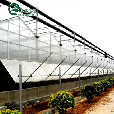 Polycarbonate Sheet Aquaponic Tomato Galvanized Steel Pipe For Prefabricated PcTent Greenhouse