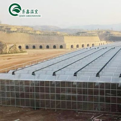Multi-Span Agricultural Greenhouses Prefabricated Rain Shelter for Tomato Cultivation