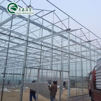 Multi-Span Agricultural Greenhouses Prefabricated Rain Shelter for Tomato Cultivation