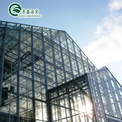 Automatic Controlling Box 25-Year Galvanized Steel Structure for Large Glass Greenhouse