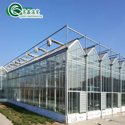 Automatic Controlling Box 25-Year Galvanized Steel Structure for Large Glass Greenhouse