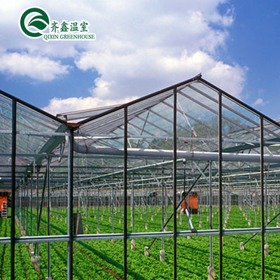 Automatic Controlling Box 25-Year Galvanized Steel Structure for Large Glass Greenhouse