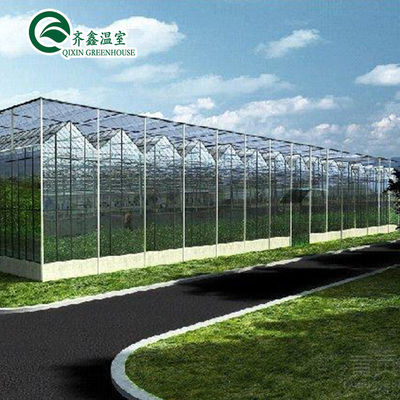 Automatic Controlling Box 25-Year Galvanized Steel Structure for Large Glass Greenhouse