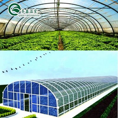 Hydroponic Supplies for Single-Span Greenhouses Cooling Irrigation Ventilation and More
