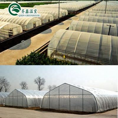 Hydroponic Supplies for Single-Span Greenhouses Cooling Irrigation Ventilation and More