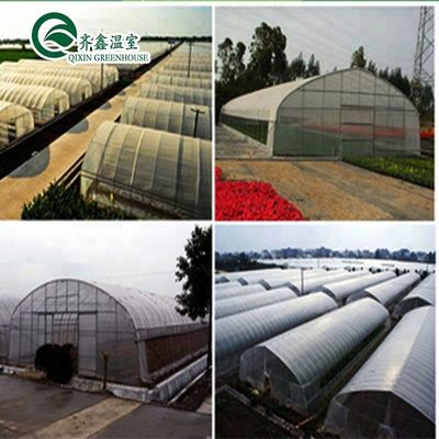 Hydroponic Supplies for Single-Span Greenhouses Cooling Irrigation Ventilation and More