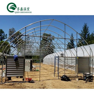 Tunnel Greenhouse Choose Customizable Size Single-Span Agricultural Greenhouses Today