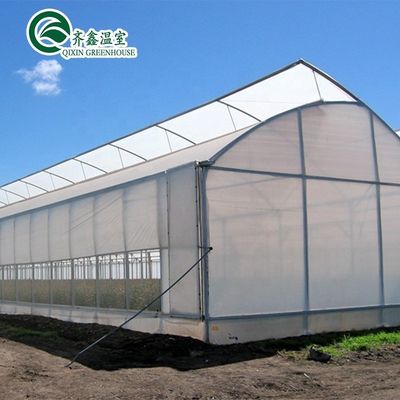 Tunnel Greenhouse Choose Customizable Size Single-Span Agricultural Greenhouses Today