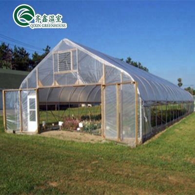 Tunnel Greenhouse Choose Customizable Size Single-Span Agricultural Greenhouses Today