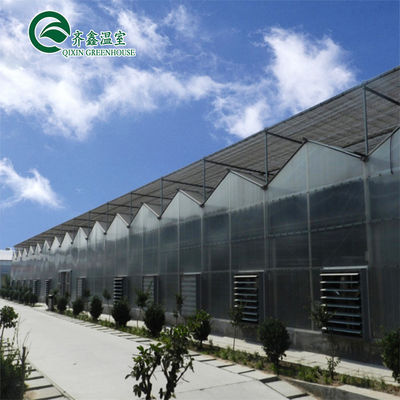 Main Structure Hot Galvanizing Aluminum Steel Prefabric Green House for Tomato Growing