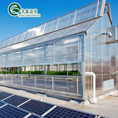 Main Structure Hot Galvanizing Aluminum Steel Prefabric Green House for Tomato Growing