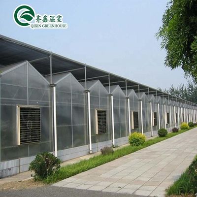 Main Structure Hot Galvanizing Aluminum Steel Prefabric Green House for Tomato Growing