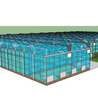 3.8m-9.8m Ridge Height Glass Solar Greenhouse for Customer Requirements