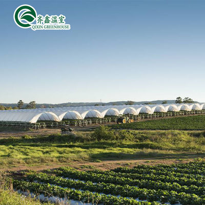 PE Vertical Hydroponic Nft Pipe Systems for Greenhouse Agriculture Water Distribution
