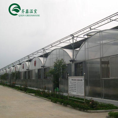 Tomatoes Vertical Hydroponic System for Multi-Span Greenhouse Sales in Netherlands