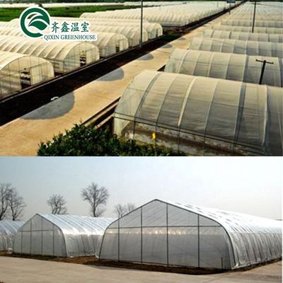 Hot Galvanized Aluminum Steel Structure Agriculture Tunnel Greenhouse for Vegetables