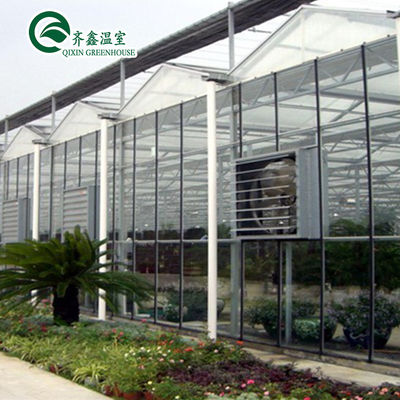 Tomatoes Vertical Hydroponic System for Multi-Span Greenhouse Sales in Netherlands