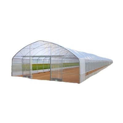 Grow Your Own Vegetables Fruits and Flowers with Our Commercial Greenhouse Philippines