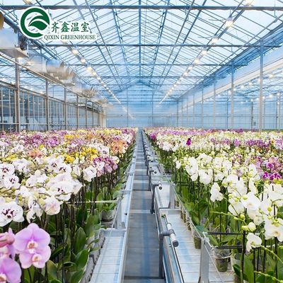 Film Cover Greenhouses for Single Layer Growing of Vegetables Fruits and Flowers