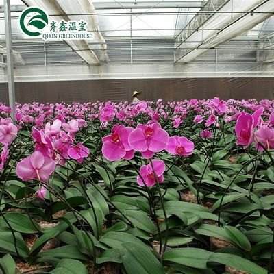 Film Cover Greenhouses for Single Layer Growing of Vegetables Fruits and Flowers