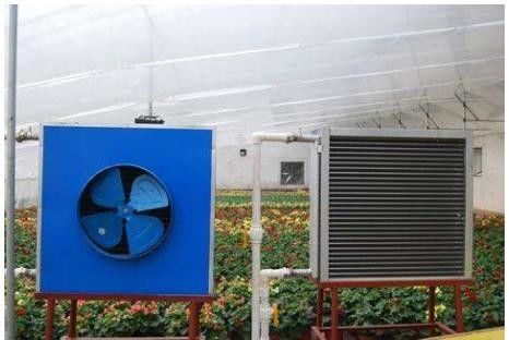 Film Cover Greenhouses for Single Layer Growing of Vegetables Fruits and Flowers