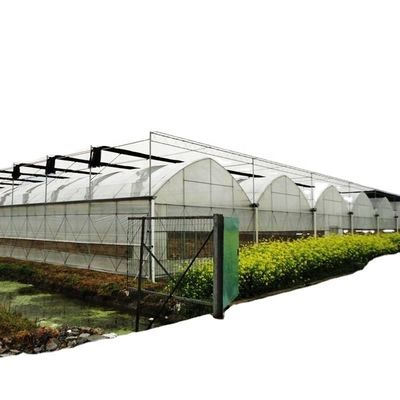 Double or Single Layer Multi-Span Agricultural Greenhouses for Customizable Farming