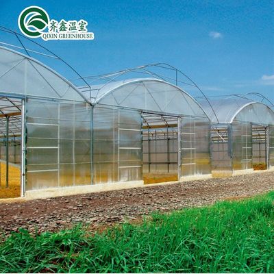 Double or Single Layer Multi-Span Agricultural Greenhouses for Customizable Farming